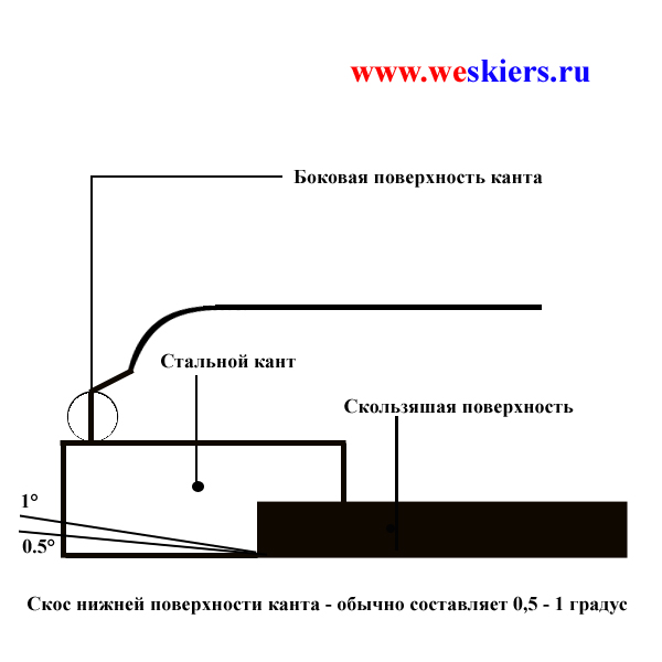 5818fbf73196c_edge1.jpg