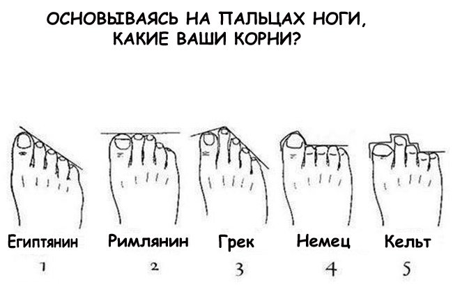 63933e6cc5f3b_01.jpg