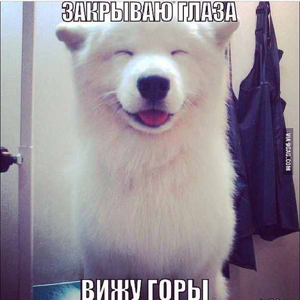 68309a830369c_ijFRBdeTO84.jpg