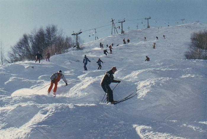 695e6d8a68bf3_1_cheget_10_12_87__Medium_