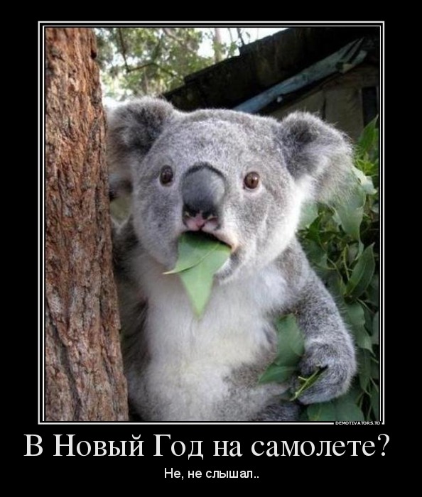 53da069b5237f_366286_vnovyijgodnasamolet