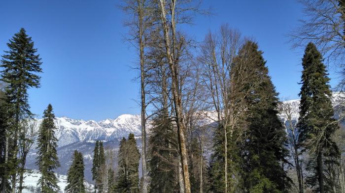 58c18e97c1f86_IMG_20170309_113818_HDR.jp