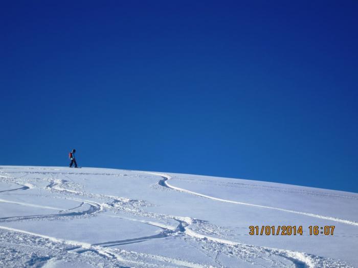 52ed674d2aae6_225.jpg