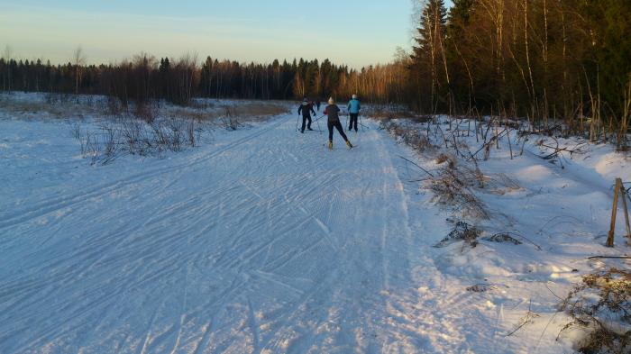 5831af7ee4ac3_DSC_6556.jpg