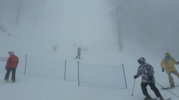 5885f792b6f56_20170121_115758.jpg