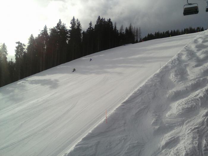 58ac935046b28_2Reiteralm1.jpg
