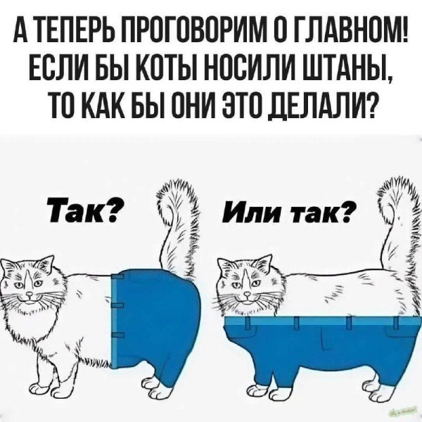 6a219d403d2af_1780472956.jpg