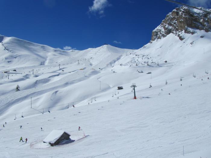 514c988312421_giornodelpap190313027.jpg