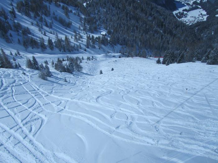 514c9a4e6d86b_giornodelpap190313038.jpg