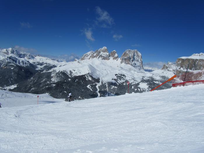 514e0e77b32bb_giornodelpap190313033.jpg