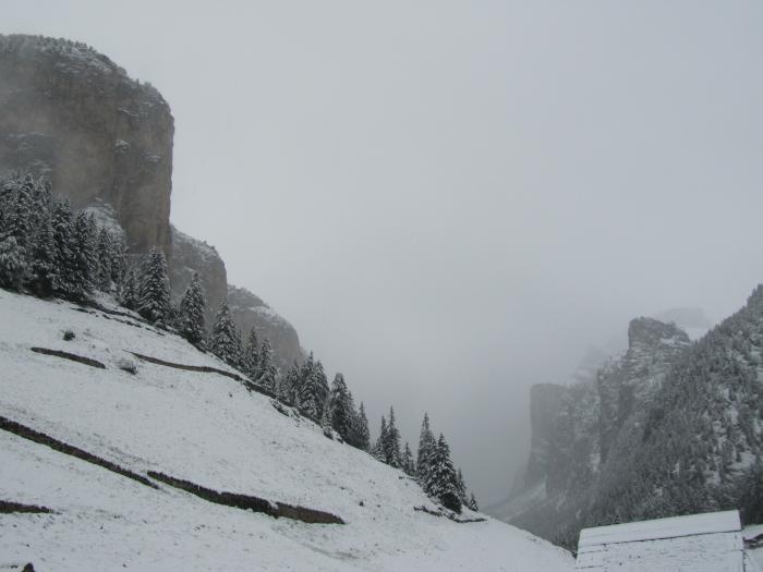 51cc36aa57e5e_Giugno2013mareNEVE047.jpg