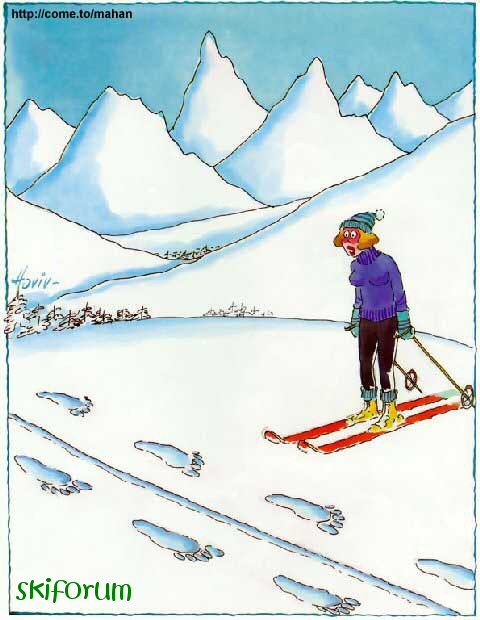 52289e6948530_uomo_nevi_skiforum.jpg