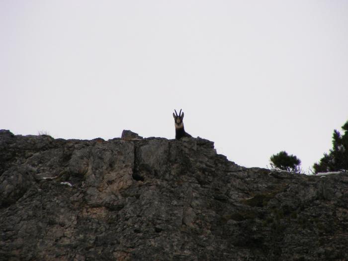 526038731c0d6_fioriottobre2013014.jpg