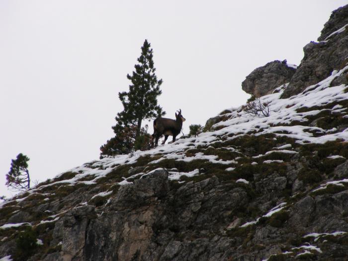 5260389fcfe76_fioriottobre2013015.jpg