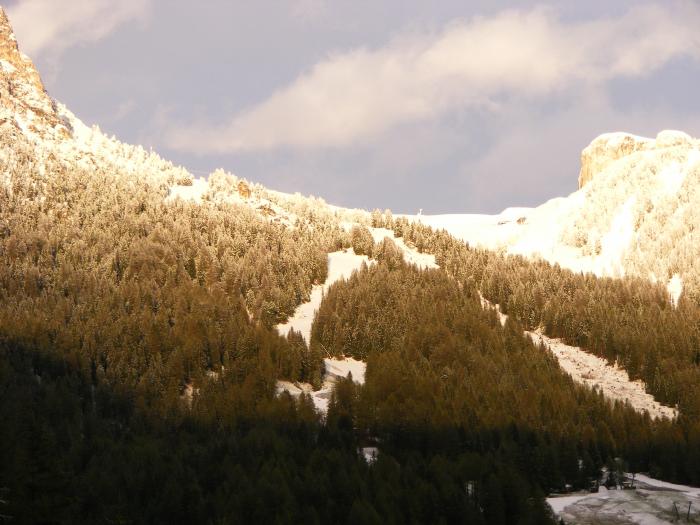 5371319389c0e_neve11052014011.jpg