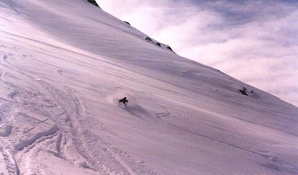 5fa409b32d5f4_SLOPE.jpg