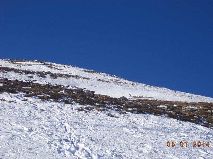 52c9ac94b69c3_DSC01477.jpg