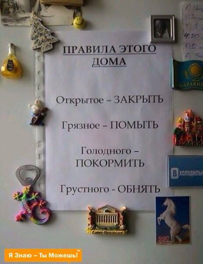 53298bea8a343_.jpg