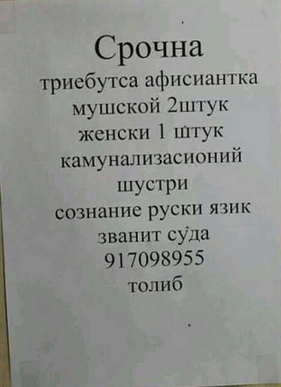 54295950972ed_5008255R3L8T8D550111png.jp