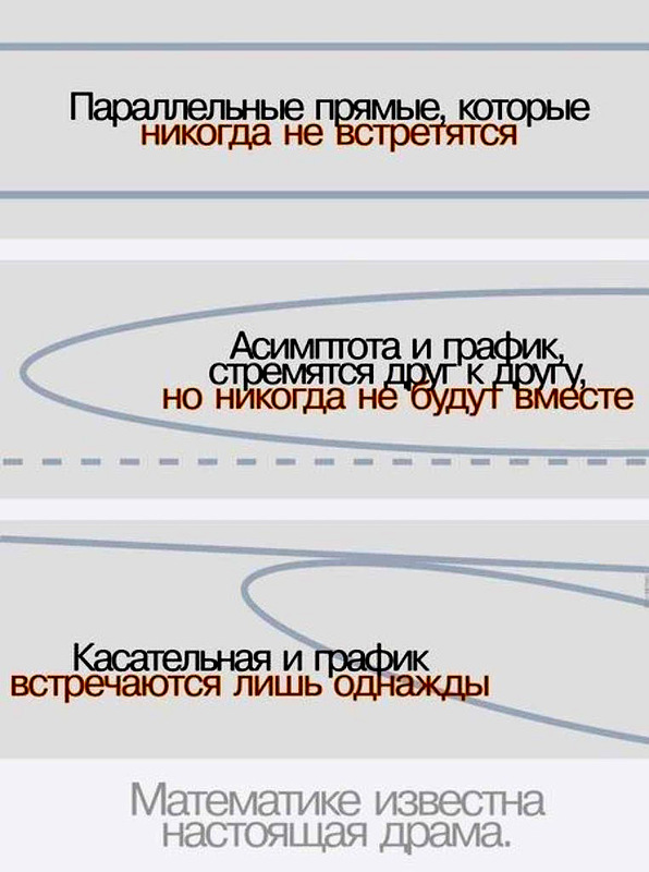 5c7fe553b4a5a_1.jpg