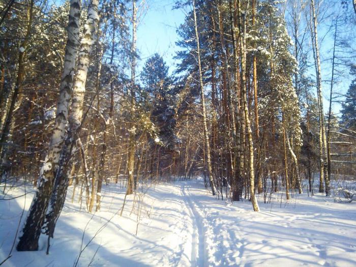 58727663a57b7_Kuzminki3.jpg