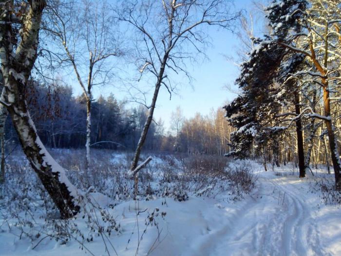 5872767523c96_Kuzminki4.jpg