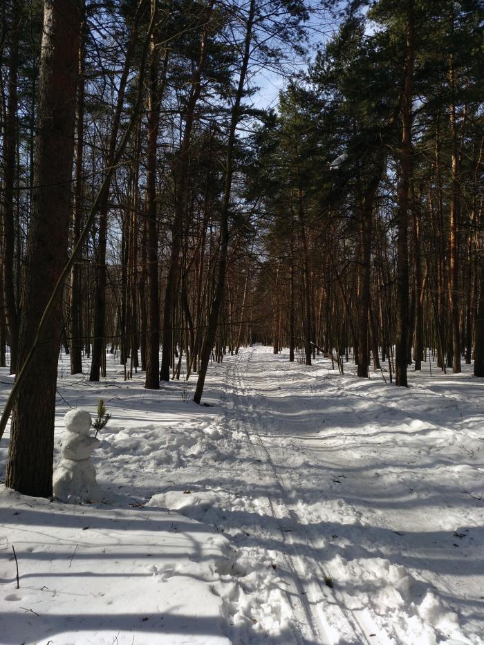 5ab7a23f479b9_Kuzminki1.jpg