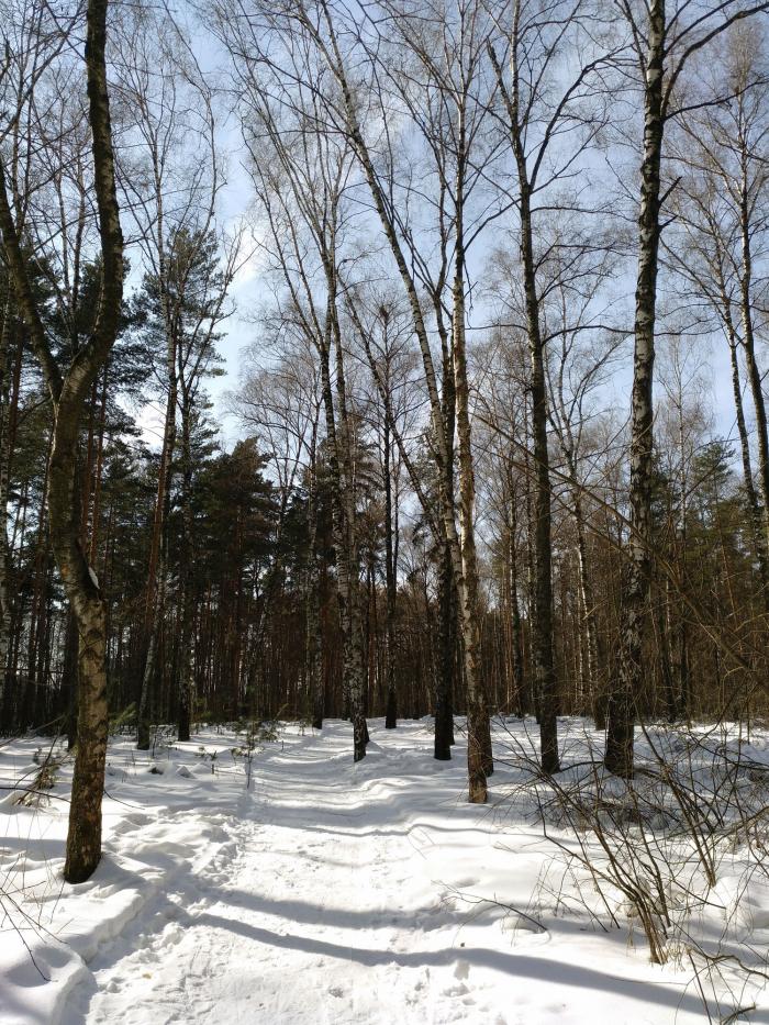 5ab7a2f2348cb_Kuzminki2.jpg