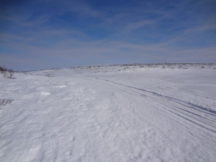 51879bfd55df6_1111.jpg