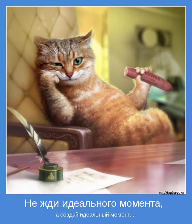 519f37876a7a1_original.jpg