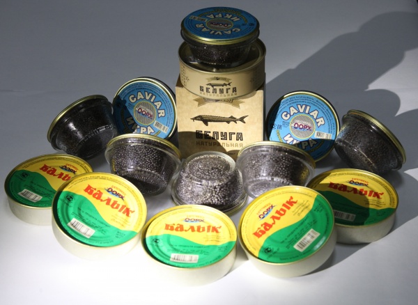 6919dc11ebc8b_4a728c40ef7781b86c973658ea