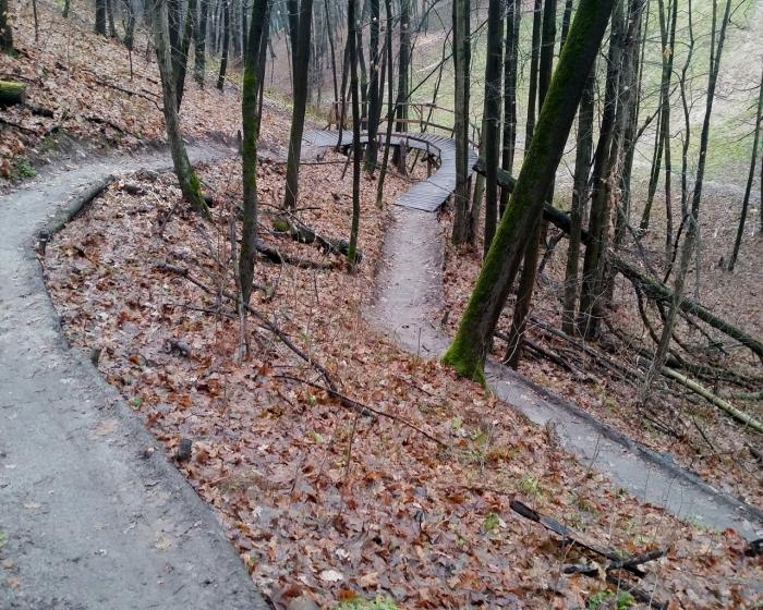 56521cc57288b_20151122_130909.jpg
