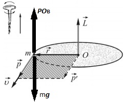 5e8376a6ae384_L_draw.jpg