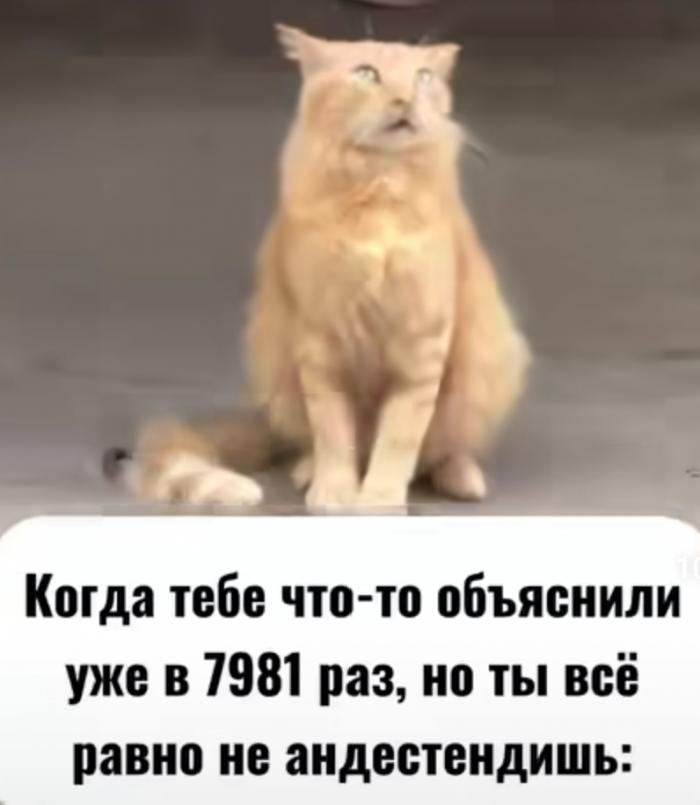 66314aa663423_Screenshot_202404301818170