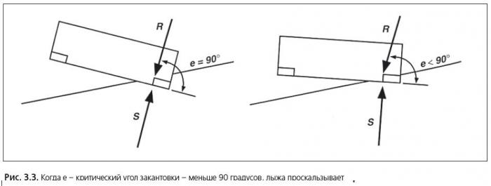 5b64078fb675e_4.jpg