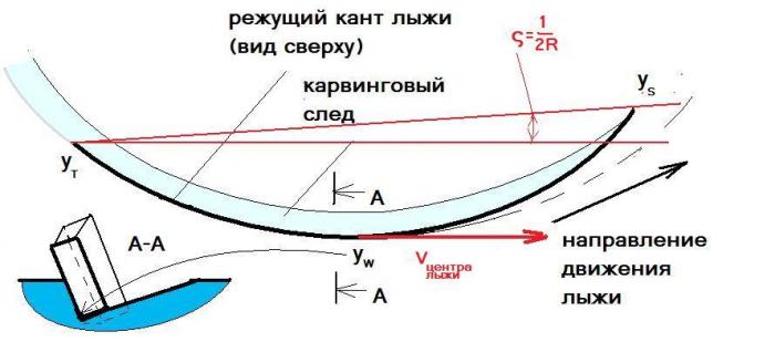 5c267a9d89760_11.jpg