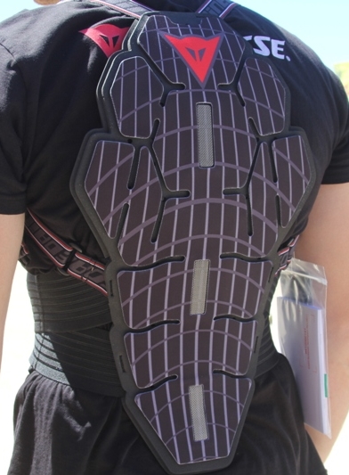 51e6d81351de5_DianeseBackProtector.jpg