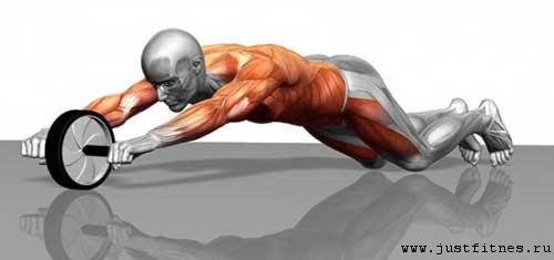 561b3493c624a_gimnasticheskiyrolik.jpg