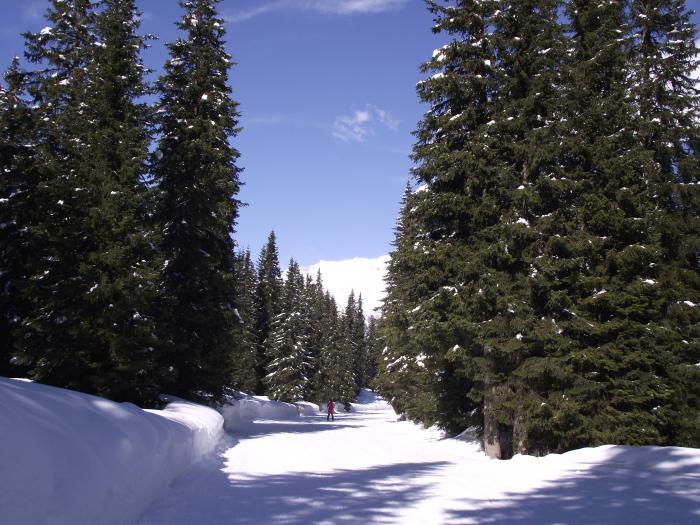 521126966fa0a_2011_03180142.jpg