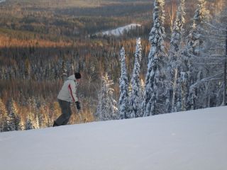 515c705cae319_SANY33155.jpg