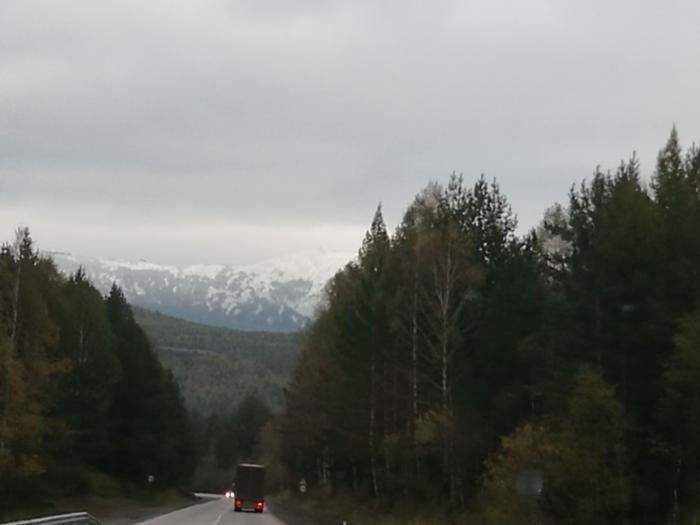 59d342463194f_.jpg
