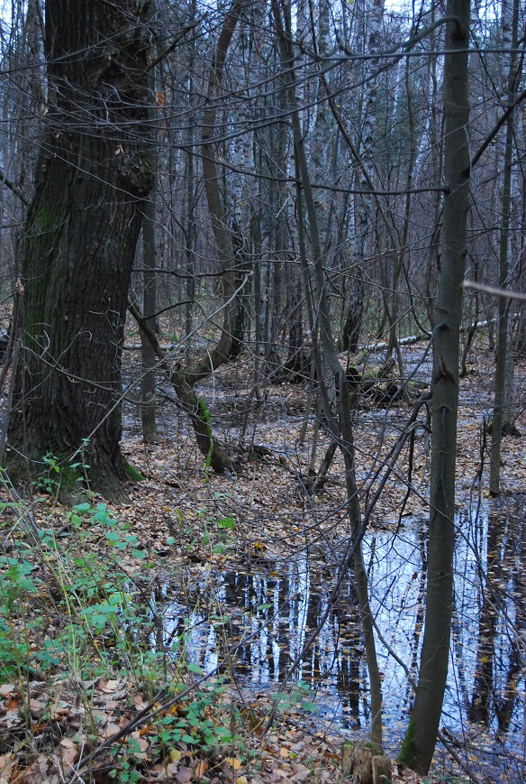 52652dbba708a_3.jpg