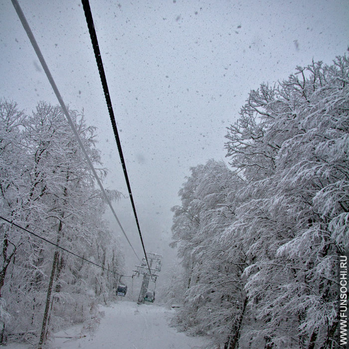 52a774dc4be9d_snow10122013.jpg