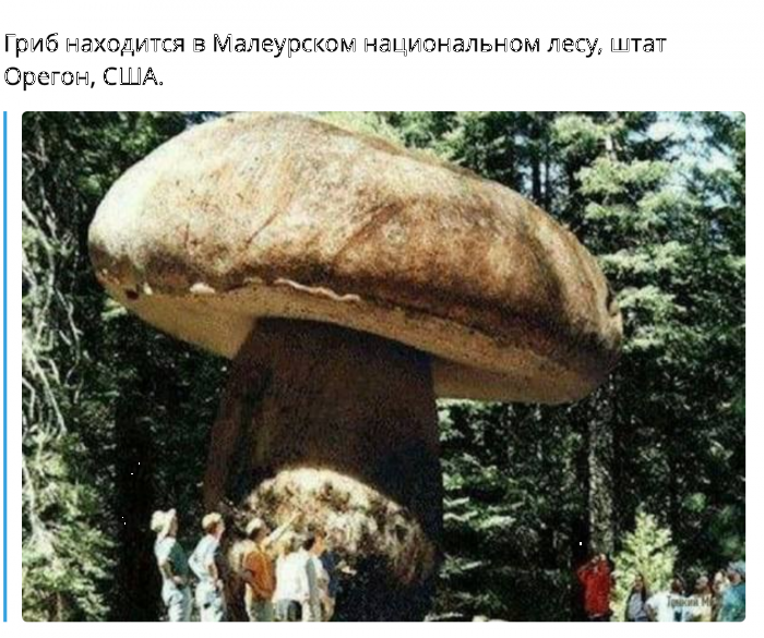 64f82eccbd804_20230906104313.png