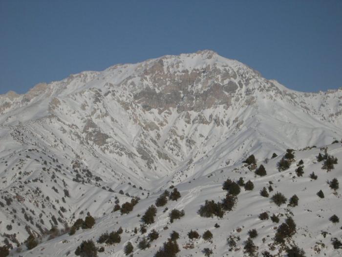 52c2ad3445991_17.jpg