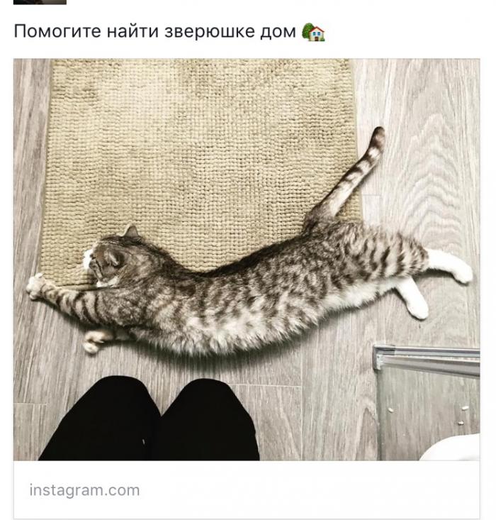 583aeebd3e562_IMG_5346.png