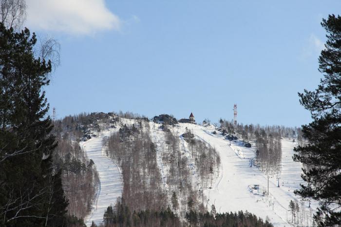 56aa5dfe5b098_ezhovaya8.jpg