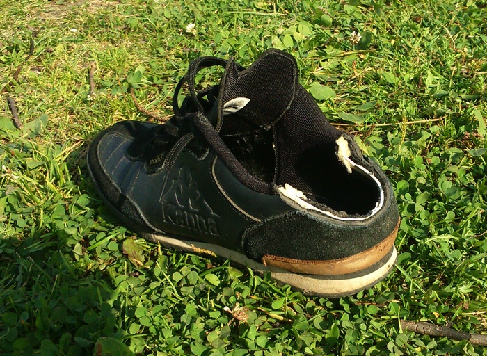 59ad0a74870b0_DSC_3874.jpg