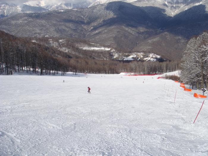 5630994fe483c_DSC08200.jpg