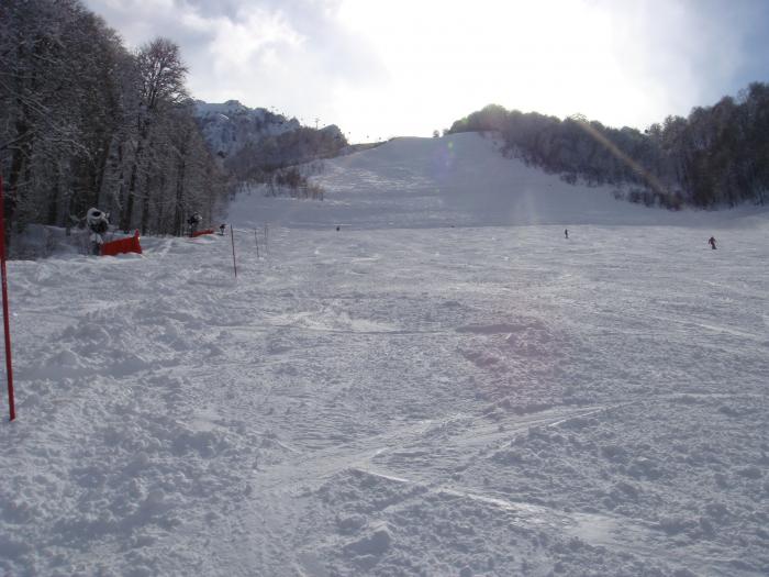 600fbaab7ed13_DSC08197.jpg